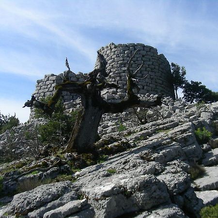 Agriturismo Didone دورغالي المظهر الخارجي الصورة